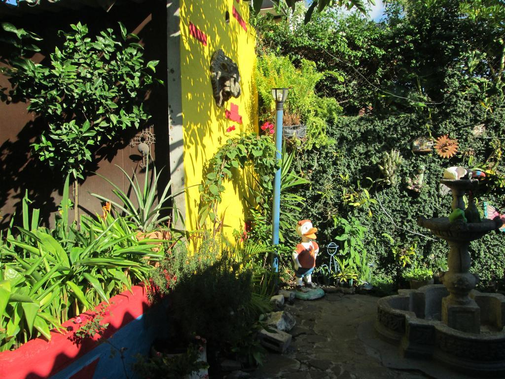 Hotel San Mateo San Salvador Bagian luar foto